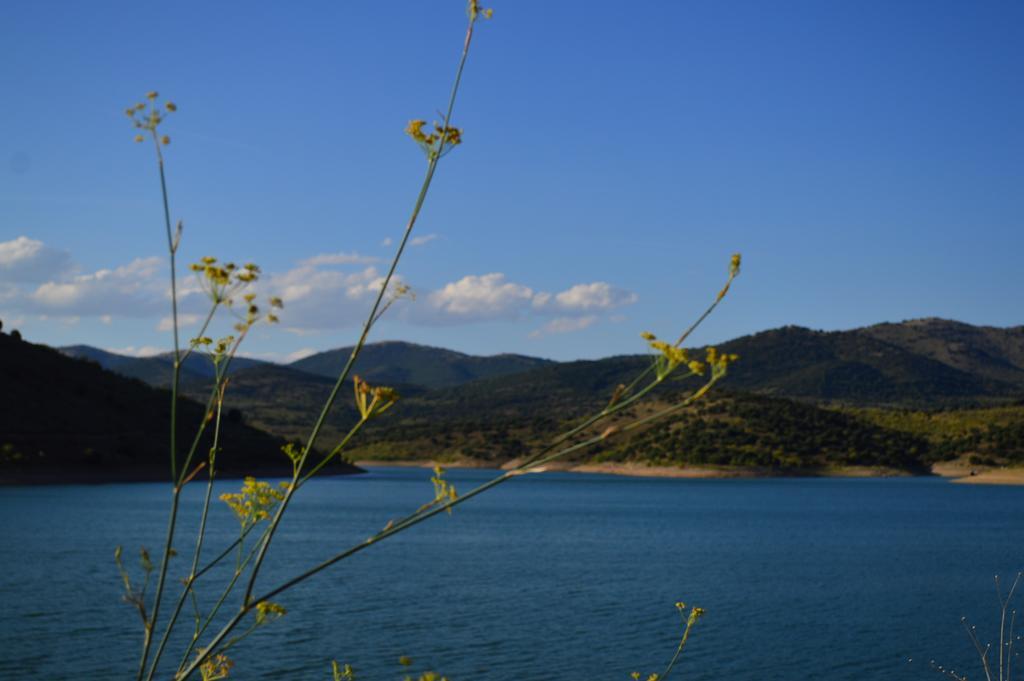Casa Rural Los Lilos Gotor Oda fotoğraf