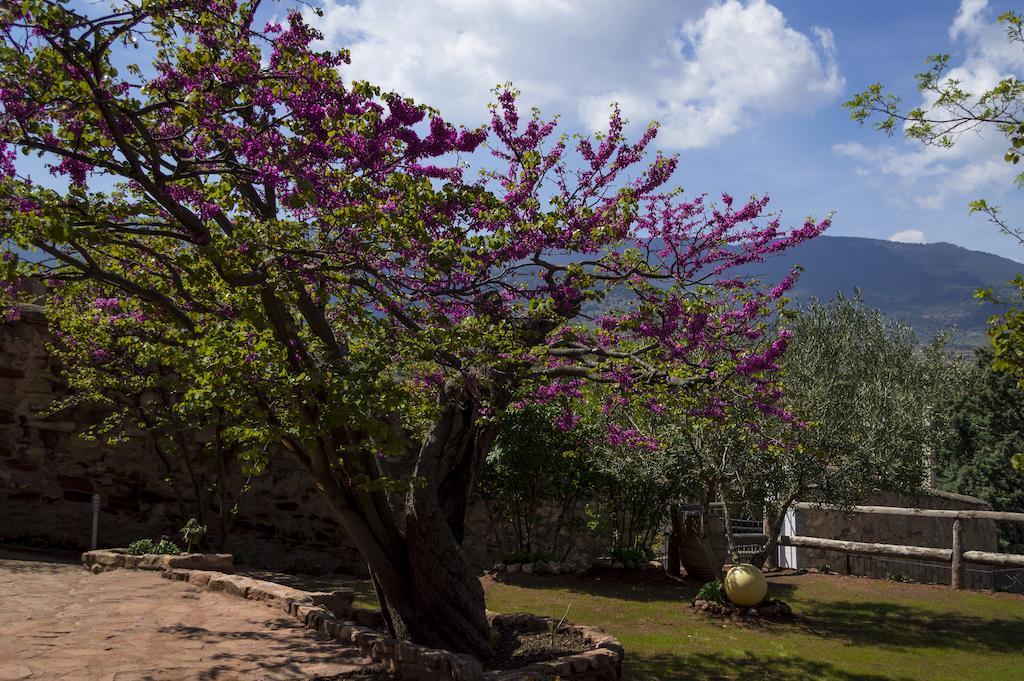 Casa Rural Los Lilos Gotor Oda fotoğraf