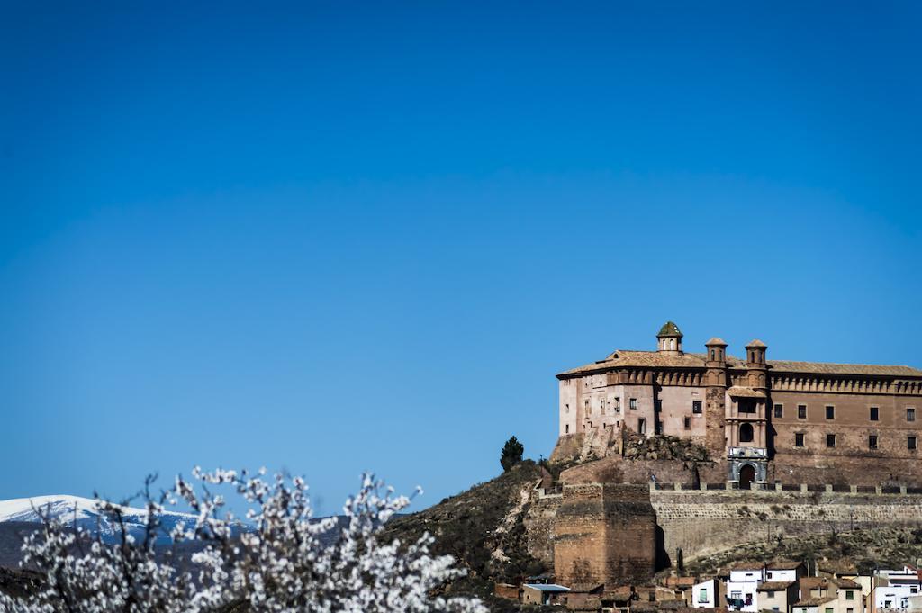 Casa Rural Los Lilos Gotor Oda fotoğraf