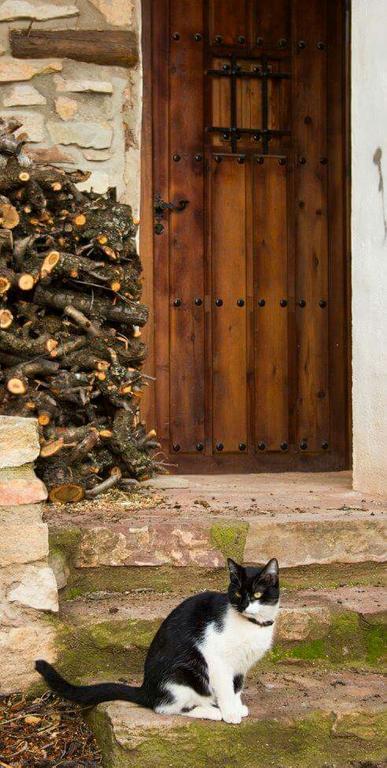 Casa Rural Los Lilos Gotor Dış mekan fotoğraf