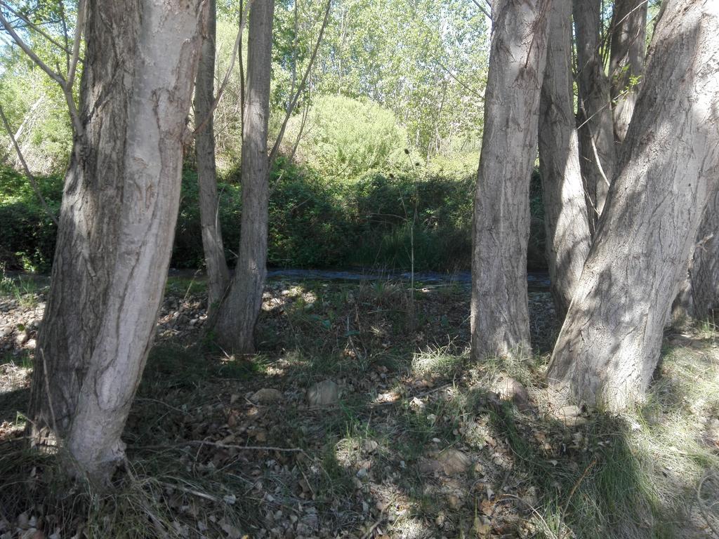 Casa Rural Los Lilos Gotor Dış mekan fotoğraf