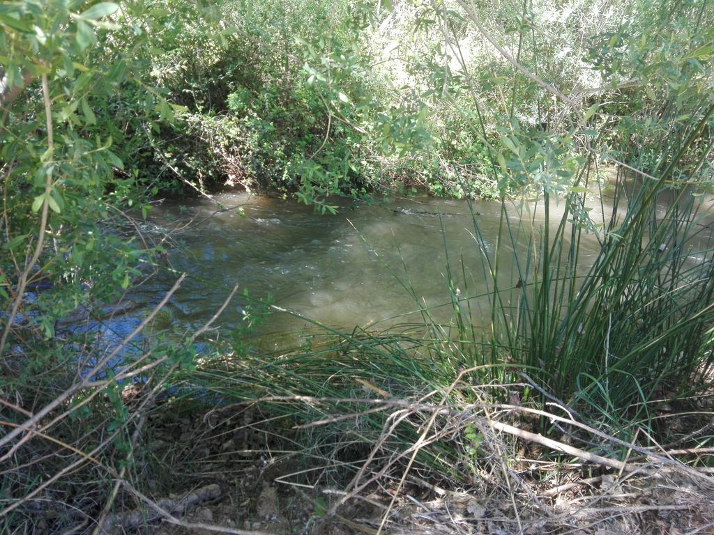 Casa Rural Los Lilos Gotor Dış mekan fotoğraf
